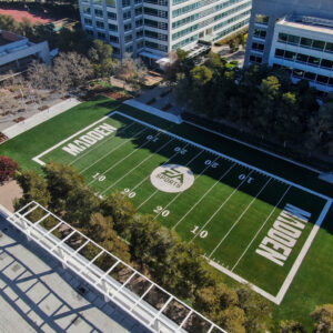 Madden Field / EA Sports Synthetic Turf Commemorative field