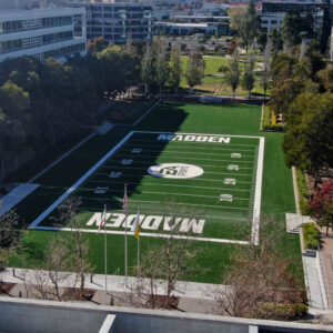 Madden Field / EA Sports Synthetic Turf Commemorative field